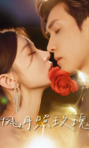 短剧风月照玫瑰海报
