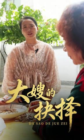 短剧《大嫂的抉择》海报