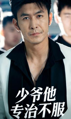 短剧《少爷他专治不服》海报