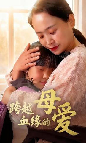 短剧跨越血缘的母爱海报