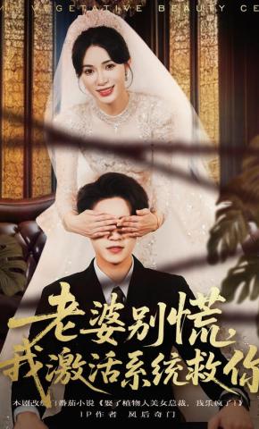 短剧《老婆别慌，我激活系统救你》海报