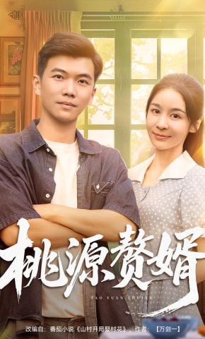 短剧《桃源赘婿》海报