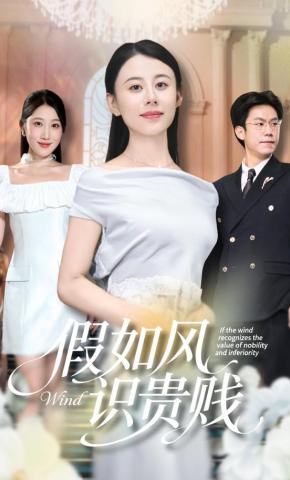 短剧《假如风识贵贱》海报