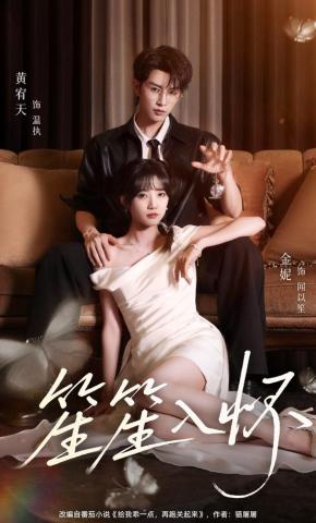 短剧《笙笙入怀》海报