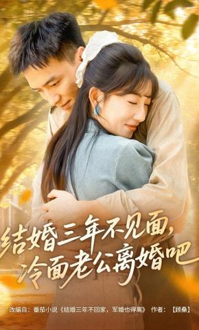 短剧《结婚三年不见面，冷面老公离婚吧》海报