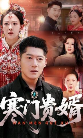 短剧寒门贵婿海报