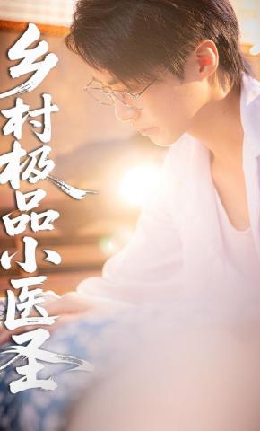 短剧乡村极品小医圣海报