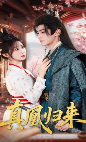 短剧真凰归来海报