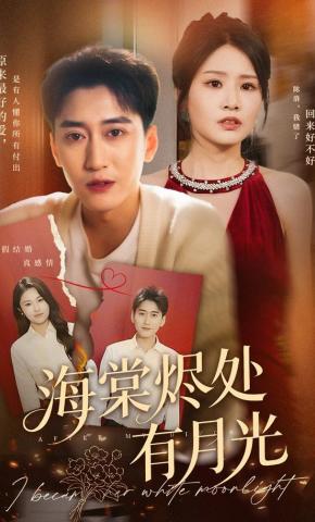 短剧海棠烬处有月光海报