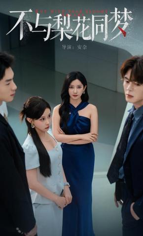 短剧《不与梨花同梦》海报