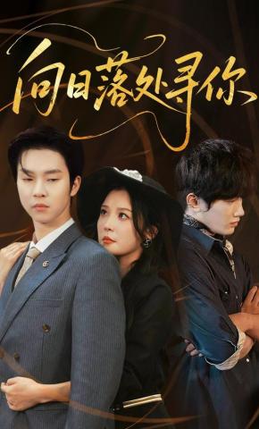 短剧向日落处寻你海报