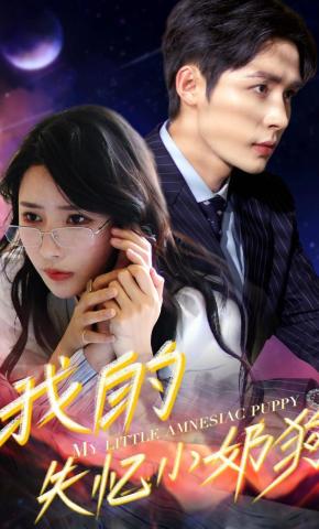 短剧《我的失忆小奶狗》海报