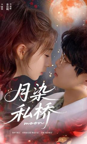 短剧《月染私桥》海报