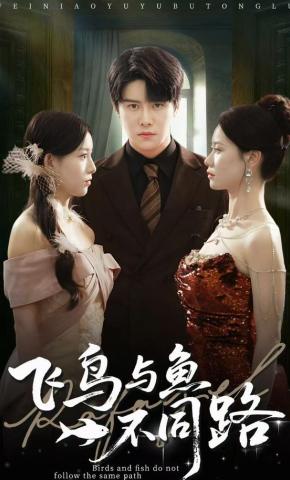 短剧《飞鸟与鱼不同路》海报
