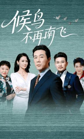 短剧《候鸟不再南飞》海报