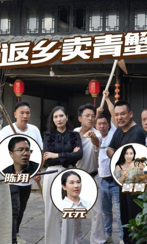 短剧返乡卖青蟹海报