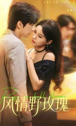 短剧《风情野玫瑰》海报