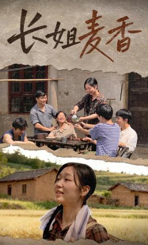 短剧《长姐麦香》海报