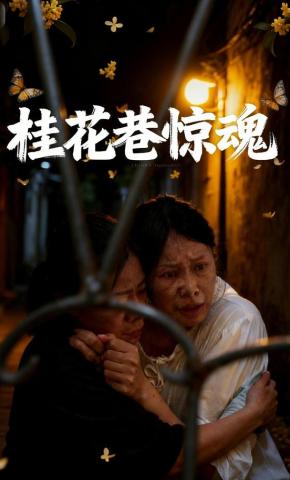 短剧《桂花巷惊魂》海报