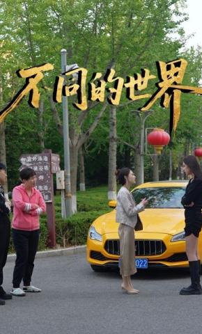 短剧不同的世界海报