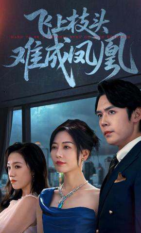 短剧《飞上枝头难成凤凰》海报