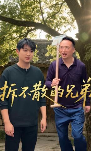 短剧《拆不散的兄弟》海报