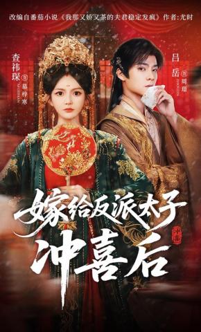 短剧《嫁给反派太子冲喜后》海报