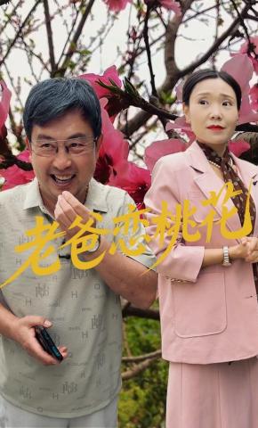 短剧老爸恋桃花海报
