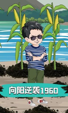 短剧《向阳逆袭1960》海报