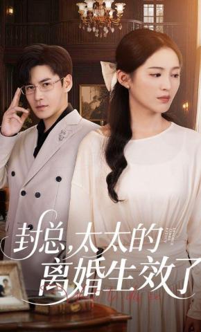 短剧封总，太太的离婚生效了海报