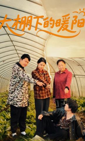 短剧大棚下的暖阳海报