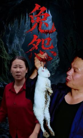 短剧《兔怨》海报