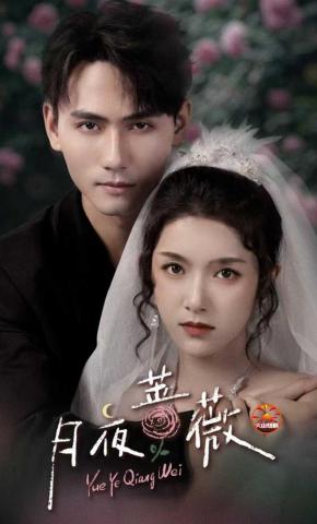 短剧《月夜蔷薇》海报