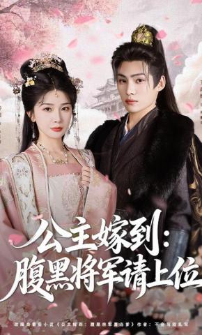 短剧《公主嫁到：腹黑将军请上位》海报