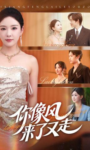 短剧《你像风来了又走》海报