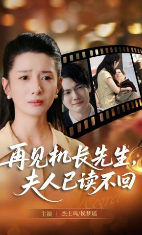 短剧《再见机长先生，夫人已读不回》海报