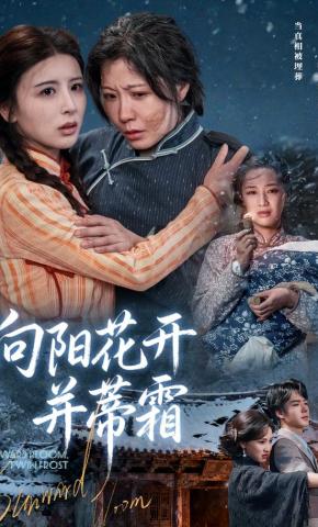 短剧《向阳花开并蒂霜》海报
