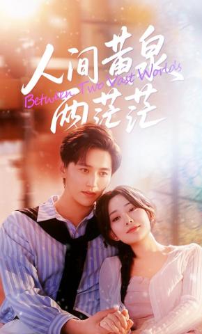 短剧《人间黄泉两茫茫》海报