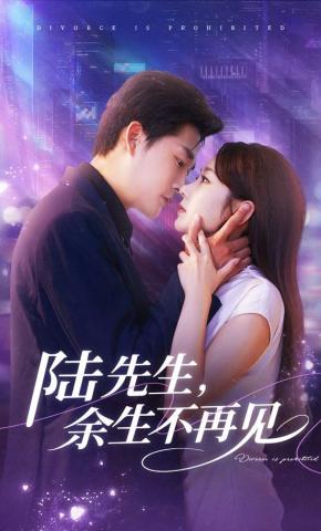 短剧《陆先生，余生不再见》海报