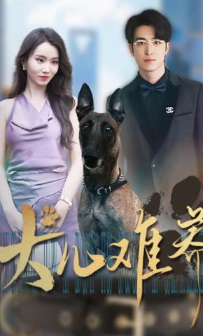 短剧《犬儿难养》海报