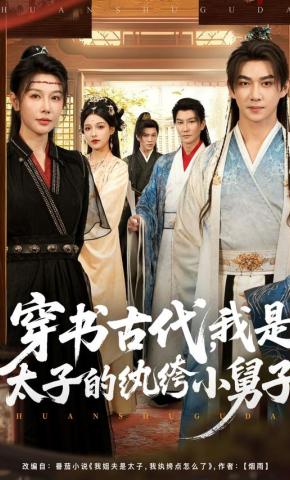 短剧《穿书古代，我是太子的纨绔小舅子》海报