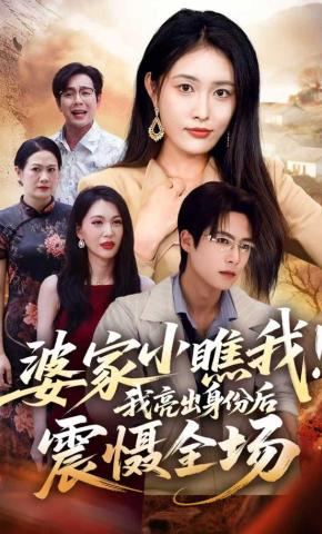 短剧婆家小瞧我！我亮出身份后震慑全场海报