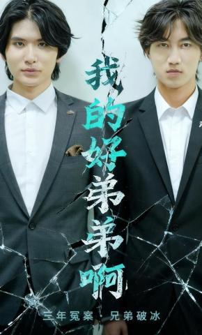 短剧《我的好弟弟啊》海报