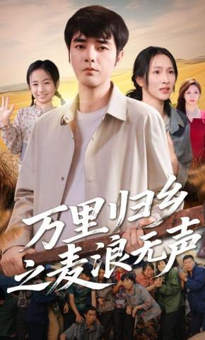 短剧万里归乡之麦浪无声海报