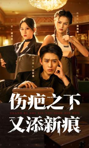 短剧《伤疤之下又添新痕》海报