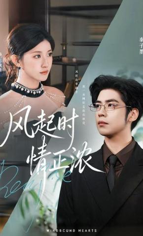 短剧风起时情正浓海报