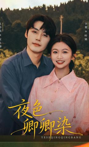 短剧《夜色卿卿染》海报