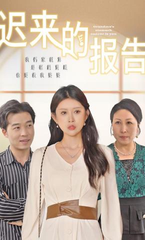 短剧《迟来的报告》海报