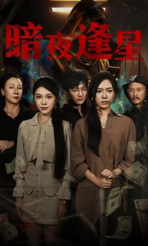 短剧《暗夜逢星》海报