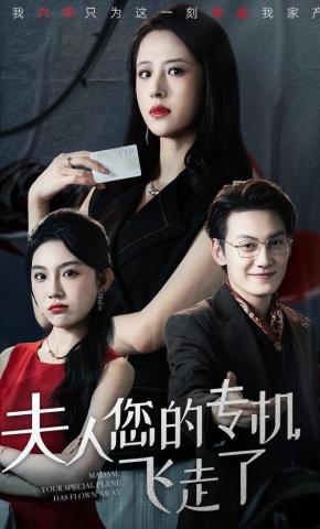 短剧《夫人您的专机飞走了》海报